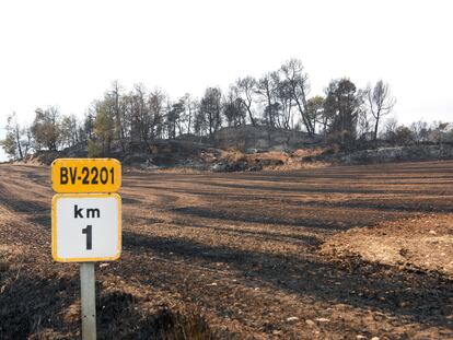 Terrenos calcinados por el paso de las llamas en el municipio de Bellprat en el que ardieron 1.000 hectáreas.