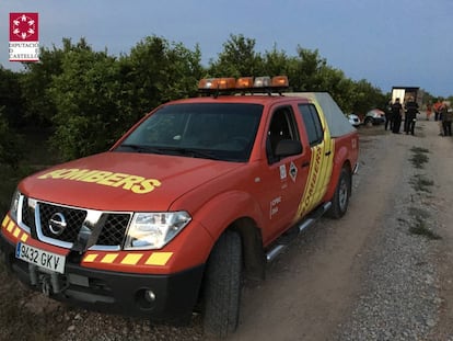 Bomberos de Castell&oacute;n en un operativo de b&uacute;squeda de la vaca.