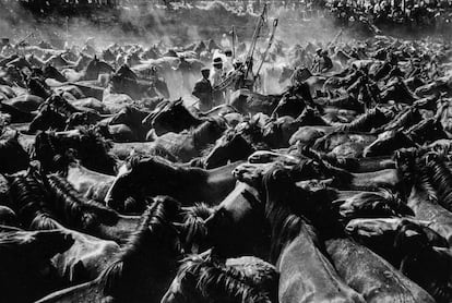 El fotógrafo Fernando Herráez publica 'Ritos ibéricos', su libro sobre las fiestas populares en la Península en los años setenta. En la imagne, Rapa das Bestas en Sabucedo (Pontevedra),1973.