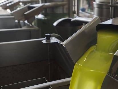 La producci&oacute;n espa&ntilde;ola de aceite de oliva ha sufrido una importante ca&iacute;da en los &uacute;ltimos a&ntilde;os.