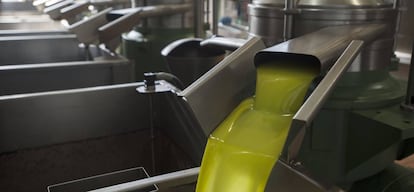 La producción española de aceite de oliva ha sufrido una importante caída en los últimos años.