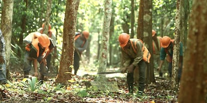 En la Reserva de la Biosfera Maya (Guatemala), miembros de una de las nueve concesiones forestales comunitarias realizan tareas de prevención de incendios. Gracias a estas intervenciones, apenas se registran incendios en las concesiones.