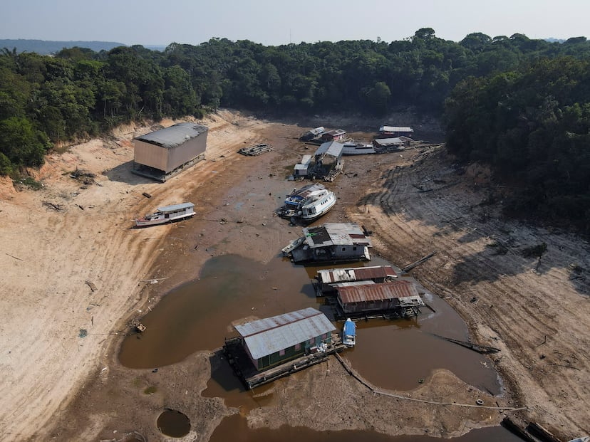Severe droughts push the Amazon to