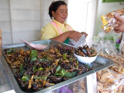 Puesto callejero de venta de insectos en Tailandia.