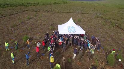 La carpa con los participantes en la acción. La empresa fomenta entre sus empleados, sus clientes, sus 'partners' y todo su ecosistema empresarial, la concienciación por el cuidado de la naturaleza.