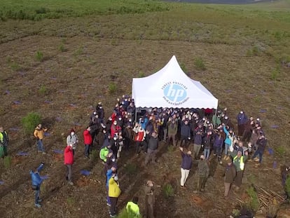 La carpa con los participantes en la acción. La empresa fomenta entre sus empleados, sus clientes, sus 'partners' y todo su ecosistema empresarial, la concienciación por el cuidado de la naturaleza.