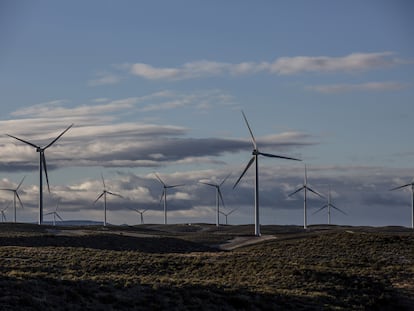 Varios aerogeneradores, en la provincia de Zaragoza, en una imagen tomada en diciembre de 2021.