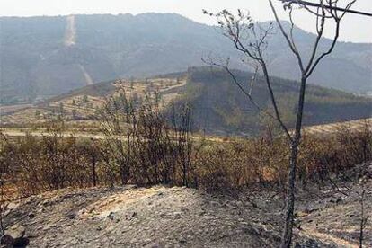 Estado en el que se encuentra la comarca cacereña de las Villuercas tras declararse el miércoles seis incendios.