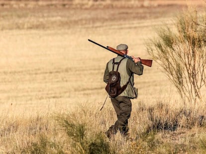 Un cazador en el campo. 