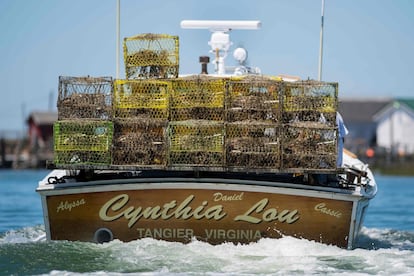 Un pescador vuelve a puerto después de un día de pesca.