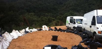 Detenida por tercera vez en Girona la maltratadora de animales que se hace pasar por veterinaria
