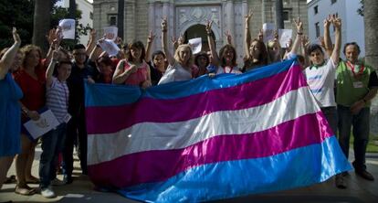 Miembros de varias plataformas de transexuales de Andaluc&iacute;a, en el Parlamento.