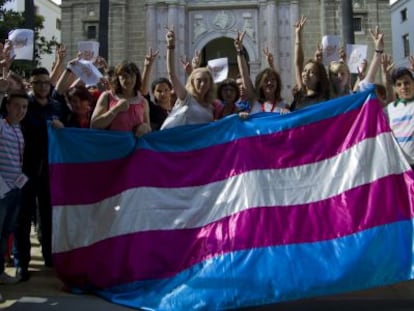 Miembros de varias plataformas de transexuales de Andaluc&iacute;a, en el Parlamento.
