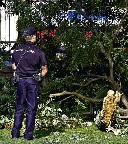Un policía observa la rama que mató a un hombre el 21 de junio de 2014.