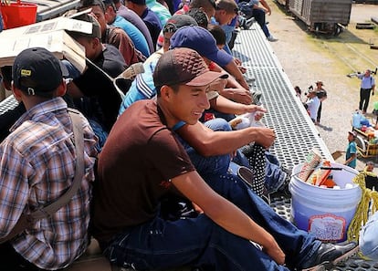 Migrantes a bordo del tren de mercanc&iacute;as apodado &#039;La Bestia&#039;.