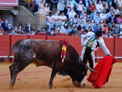 Morante torea al natural al primer miura de la tarde.