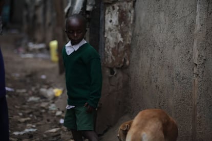 Cientos de animales se pueden ver por los caminos alocados de este suburbio: desde gatos y perros, hasta cabras, gallinas, vacas y ovejas. La estampa al atardecer fue tomada delante de la casa del niño. Se le había caído una banana y el animal se la disputaba.