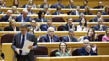 Alberto Núñez Feijóo, durante el debate de la reforma para eliminar el término “disminuidos” de la Constitución, este martes en el Senado.