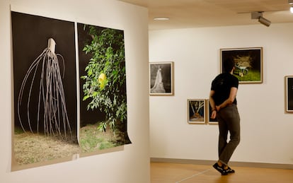 Perspectiva de una de las exposiciones.