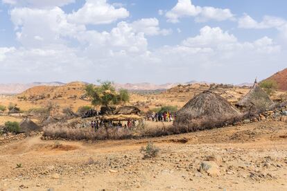 Pueblo kunama de Ebaro. El centro del pueblo está listo para recibir a todos los invitados, con comida como injera, pollo y sorgo. Los invitados acuden desde otras aldeas de los alrededores, lo que significa que entre ellas hay paz.