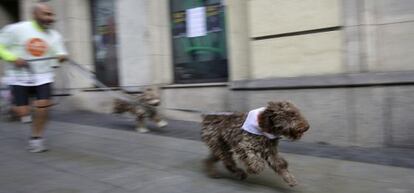 Un hombre corre con sus dos perros durante la tercera edición de la Sanperrestre.