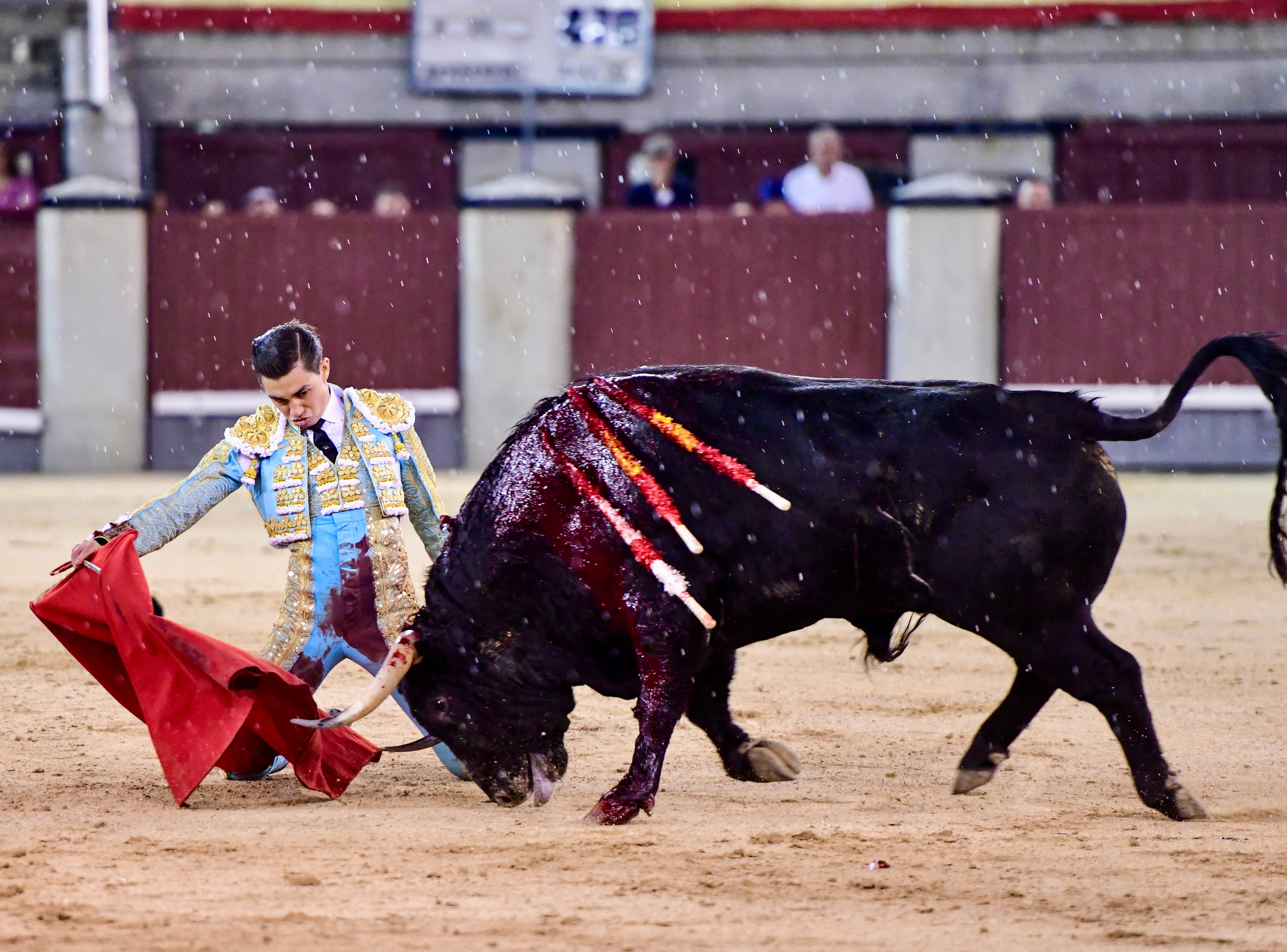 Bruno Aloi muletea de rodillas al quinto novillo de la noche.