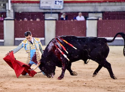 Bruno Aloi muletea de rodillas al quinto novillo de la noche.