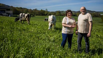 Chelo y Julio López, propietarios de Gandería Quintián, una granja de leche fresca y queso ubicada en O Páramo, Lugo.