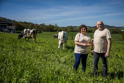 Chelo y Julio López, propietarios de Gandería Quintián, una granja de leche fresca y queso ubicada en O Páramo, Lugo.
