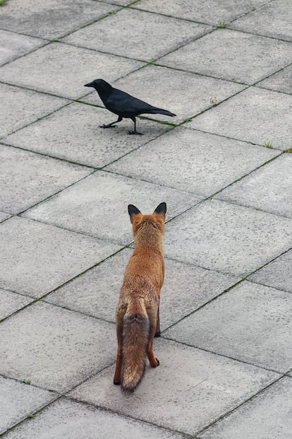 ‘Saint Jude´s Road, Londres’ (2018). Imagen perteneciente al libro 'I'll Bet the Devil My Head' (VOID, 2023).