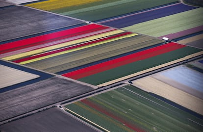 La época más colorida y que ofrece una visita más atractiva suele ser a mediados de abril, cuando hay más flores.