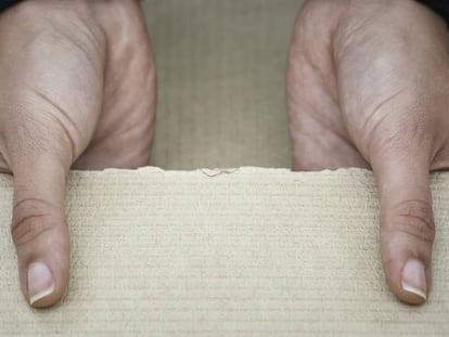 El sector forestal impulsa la recuperación verde