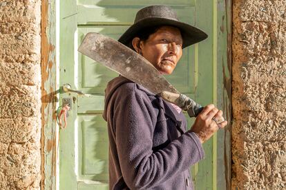  Rosita Lamas, en Huacalera, donde vive de su granja agrícola y de su manada de llamas.