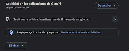 Opciones Google Gemini