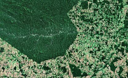 La deforestación en el sur del Estado de Pará, en Brasil, a finales de junio de 2017.