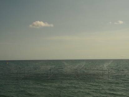 Instal·lació 'Regar el mar' (2020).