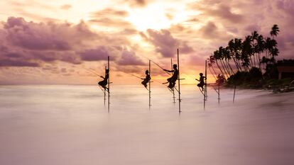 Como cada año, Word Nature Photograhs Awards reconoce a los mejores fotógrafos de paisajes. En la categoría Gente y Naturaleza, el galardón se lo ha llevado Ioannis Pavlos Evangelidis. La fotógrafa griega ha viajado hasta Sri Lanka para capturar un momento concreto: unos pescadores, sobre altos zancos tradicionales, prueban suerte con el cambio de marea al atardecer en Koggala. La captura muestra el movimiento del agua en contraste con la quietud de los pescadores. Estos métodos de pesca tradicionales no representan ninguna amenaza para la salud medioambiental del océano y, por el contrario, suponen un seguro para sus recursos naturales.