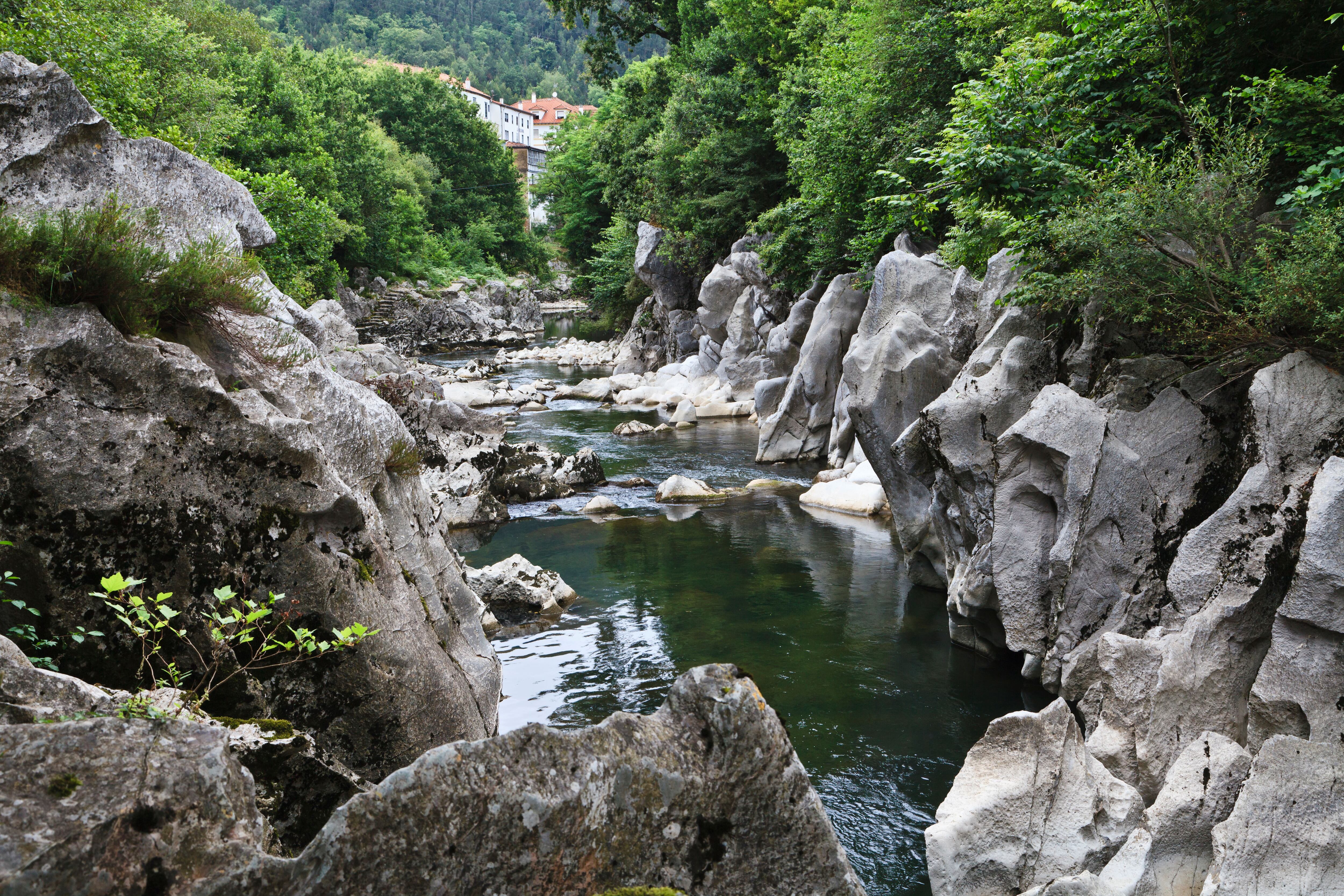 El río Pas, a su paso por la localidad cántabra de Puente Viesgo.