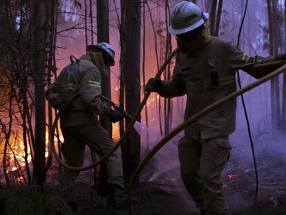 Os bombeiros trabalham na extinção do fogo perto de Avelar.