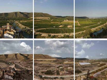 Fotomontaje sobre al reducción de cultivos