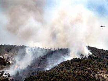 La zona incendiada, ayer, junto al parque natural de la Font Roja.
