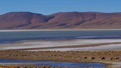 Extracción de litio Bolivia