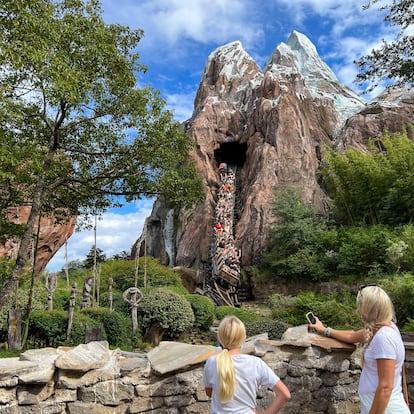 Los animales de Animal Kingdom conviven con atracciones como los rápidos de agua y las montañas rusas. 