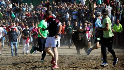 The Toro de la Vega festival in 2017.