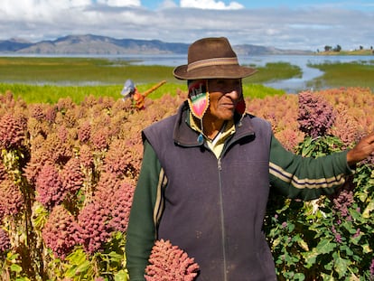 Retrato de un granjero de quinoa.