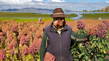 Retrato de un granjero de quinoa.