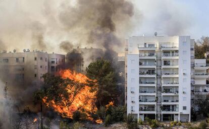 Las llamas rodean unos edificios de viviendas en la localidad de Haifa (Israel), el 24 de noviembre de 2016.