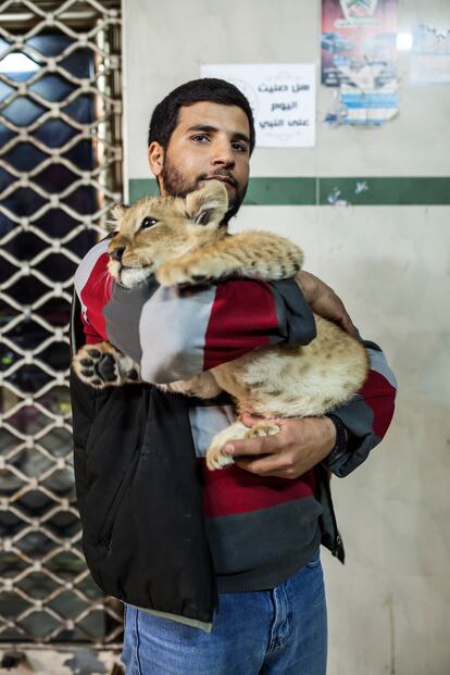 Un cuidador del zoológico de Gaza sostiene un cachorro de león en el centro de la ciudad. Consigue algunas monedas de las personas que se toman fotos con él para poder alimentar al animal (marzo de 2015).