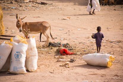 Una plaza de Nema en día de mercado: niños por todas las esquinas, rebaños de cabras y ovejas, asnos para las cargas y sacos de alimentos donados por el Programa Mundial de Alimentos (PMA-WFP).