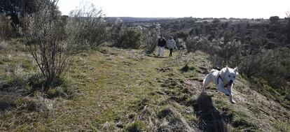 Parque de El Garzo, donde la Comunidad construirá un campo de golf.